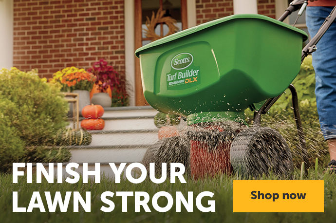 Finish Your Lawn Strong