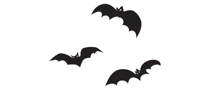 Bats