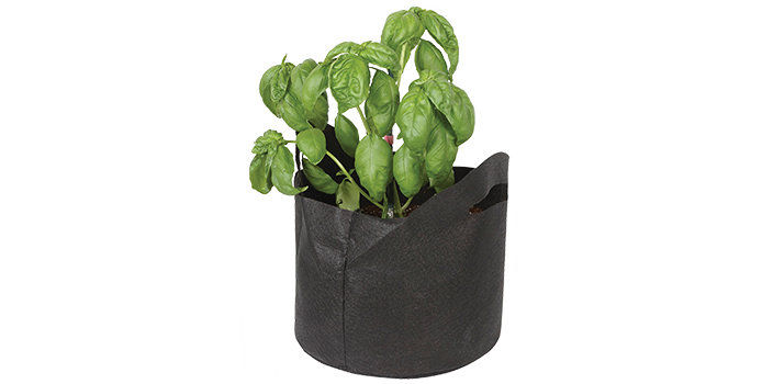 Basil plant in a root farm hydro garden growing felt garden pot with root farm hydro garden growing mix