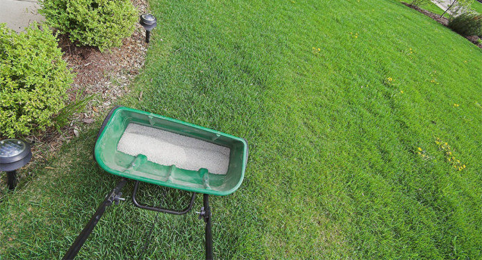 A lawn fertilizer