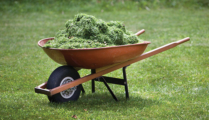 Wheelbarrow full of grass