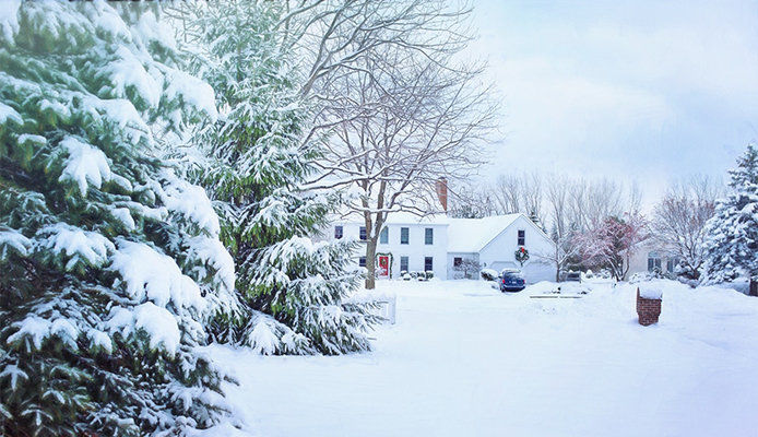 Winter landscape