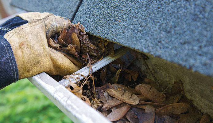 Person wearing work glove pulling leaves out of gutter