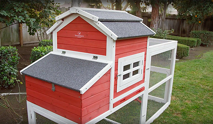 Bakcyard chicken coop