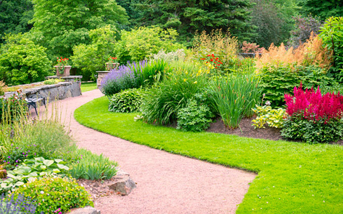 Native grasses in landscaping