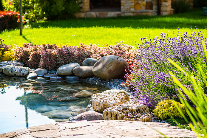 A small backyard water feature with landscaping