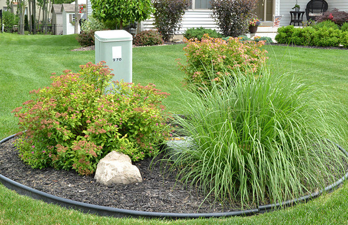 Utility box hidden by plants