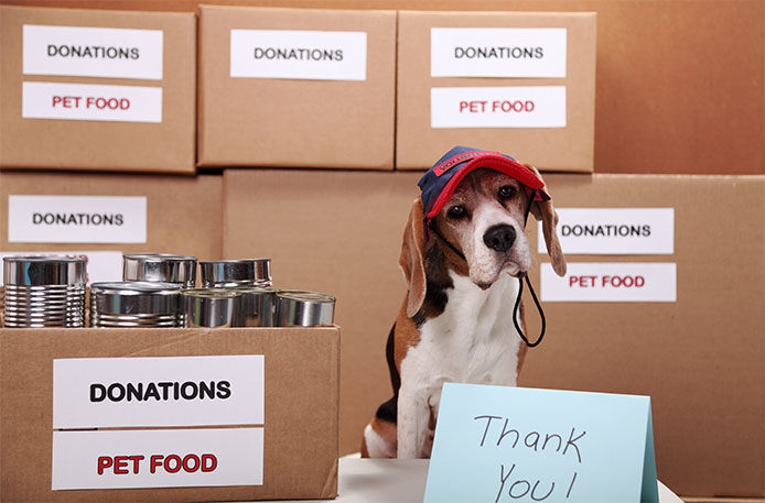 A cute little beagle sitting in front of brown cardboard boxes with the sign donations pet food and  thank you sign in the foreground
