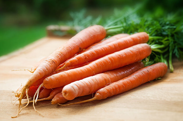 Carrots in a bundle