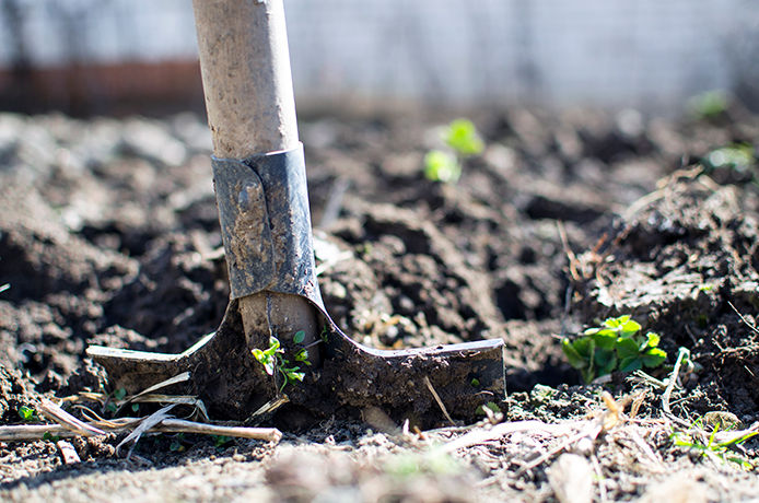 Close-up of a shovel stuck into the dirt