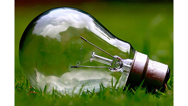 A lightbulb laying in the grass