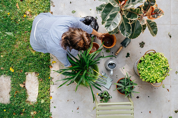 Woman repotting and moving some of her plants to pots