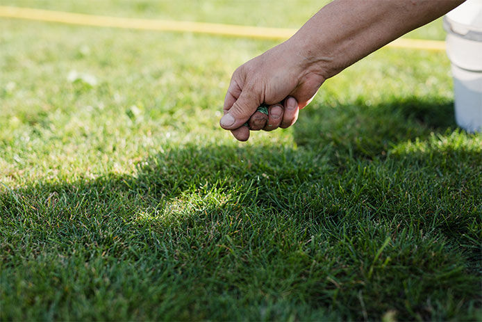 A person overseeding a lawn
