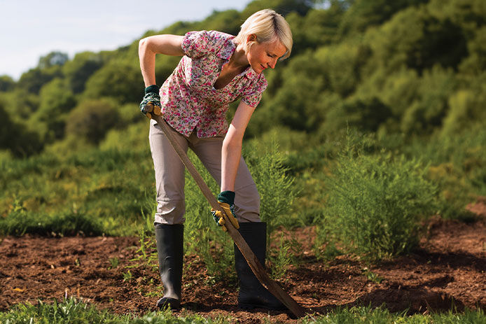 A woman using a pointed spade to dig into the soil to allow for aeration