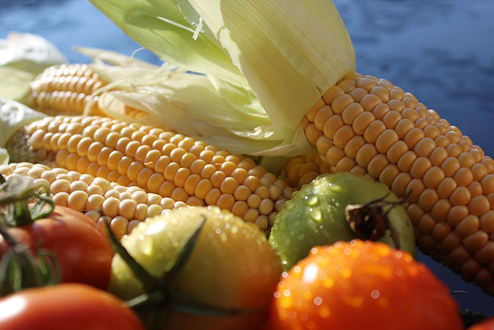 Corn and tomatoes