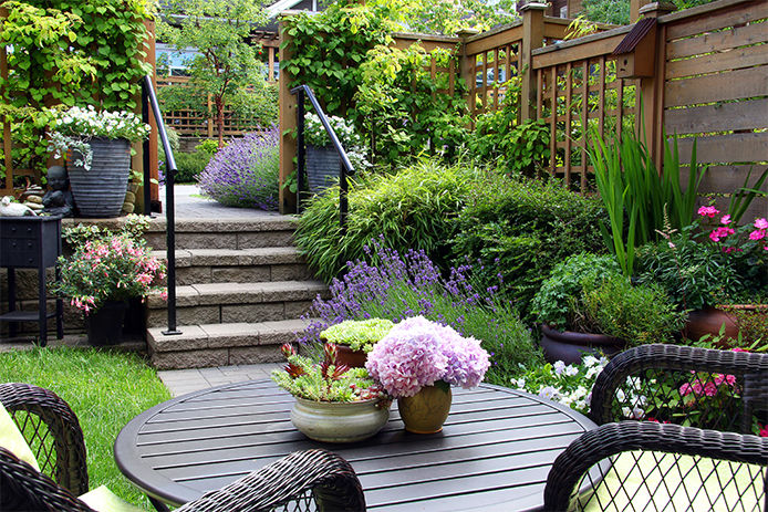 Backyard garden