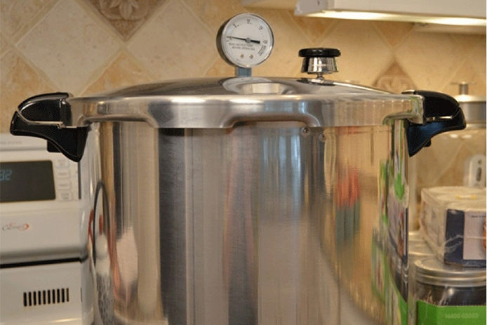 Stainless steel canner