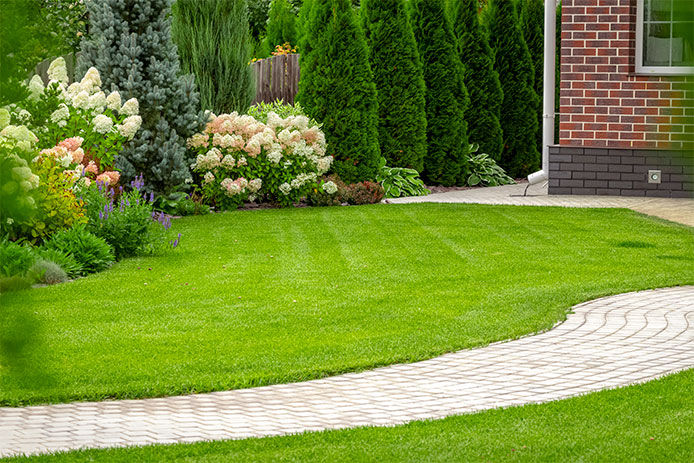 A backyard with a very green and clear lawn. 