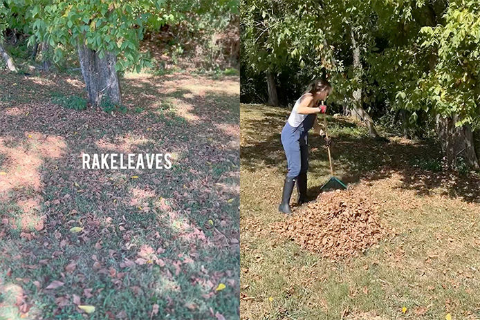 Raking leaves