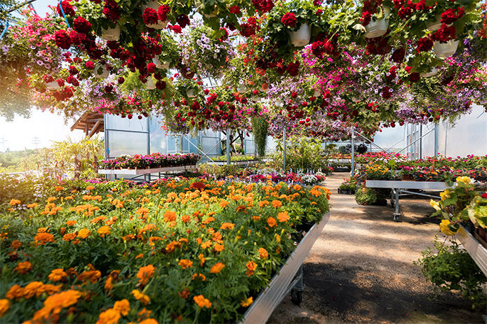 Overlooking a flower garden center