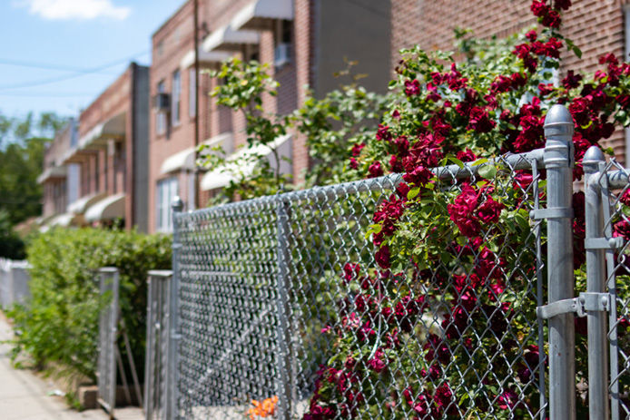Chain-link fence