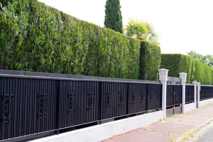 Decorative Metal Fencing