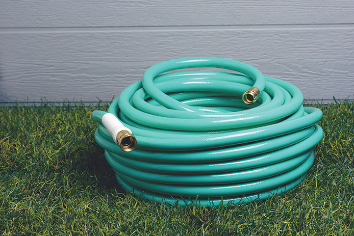 A light green garden hose sitting on a well manicured lawn in front of light gray siding