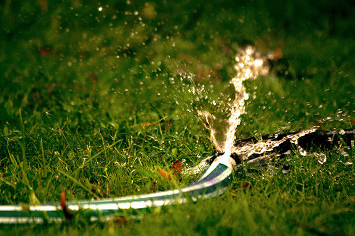 A close up image of a garden hose on a green lawn with water spraying out of the connecting end.