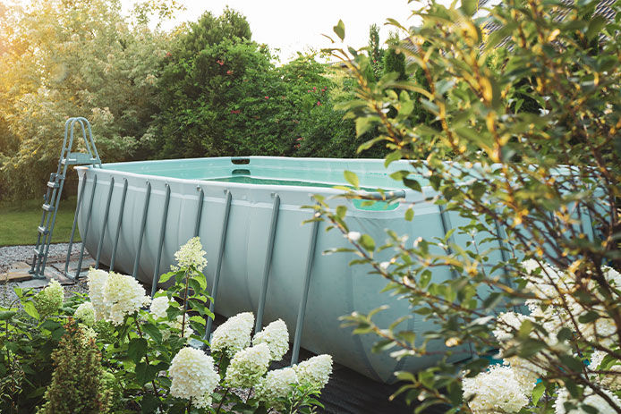 An above ground pool surrounded by plants