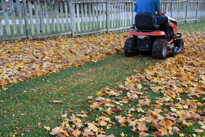 mowing leaves into mulch