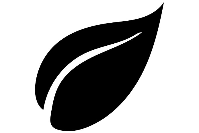 leaf icon