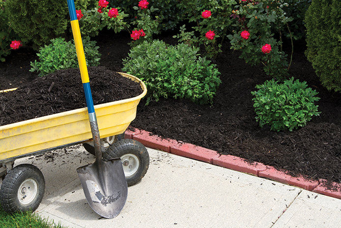 A shovel leaning against a yellow garden cart filled with black mulch next to freshly mulched landscaping