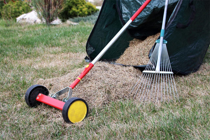 Rake and aerator used to dethatch lawn