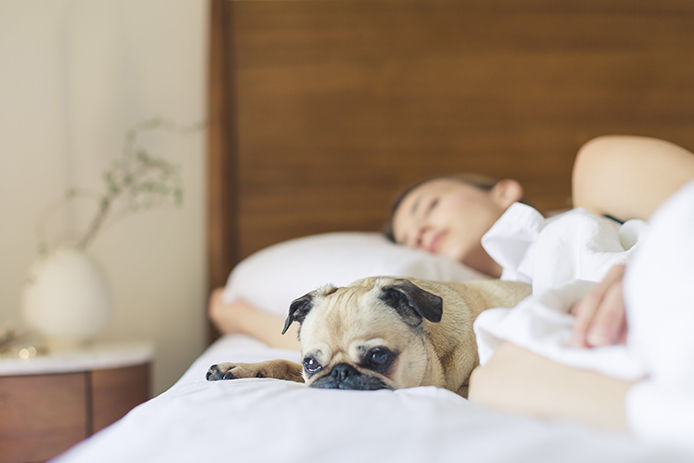 Woman and dog sleeping in bed