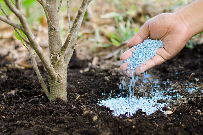 fertilizer and mulch in garden