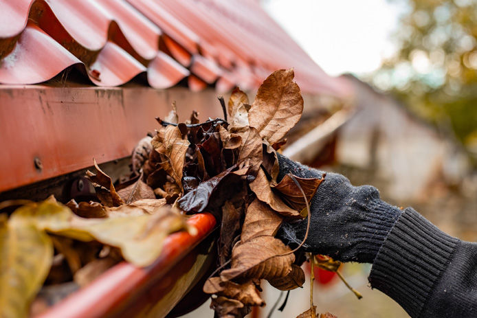 Person cleaning out gutters
