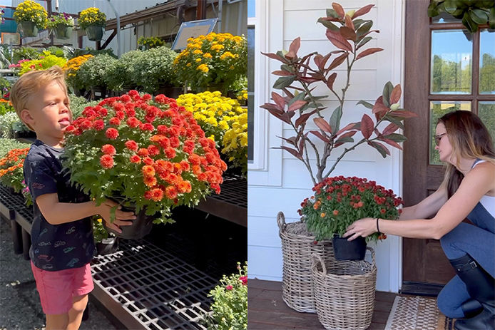 Adding flowers to front porch
