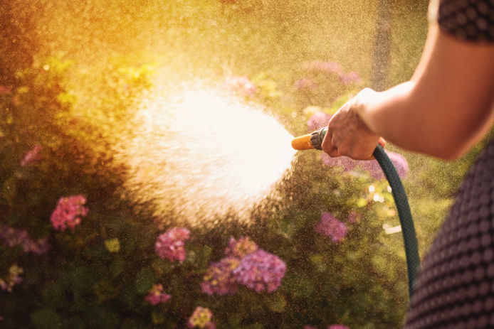 woman watering floors and lawn