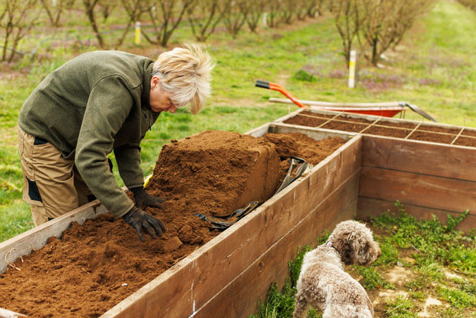 raised garden bed