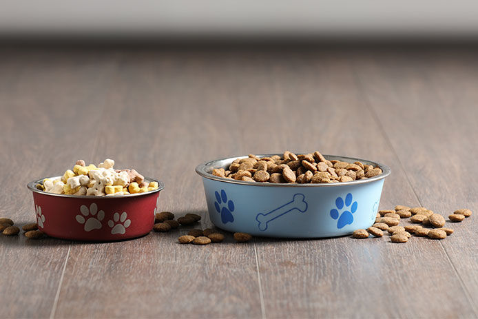 Pet bowls full of food