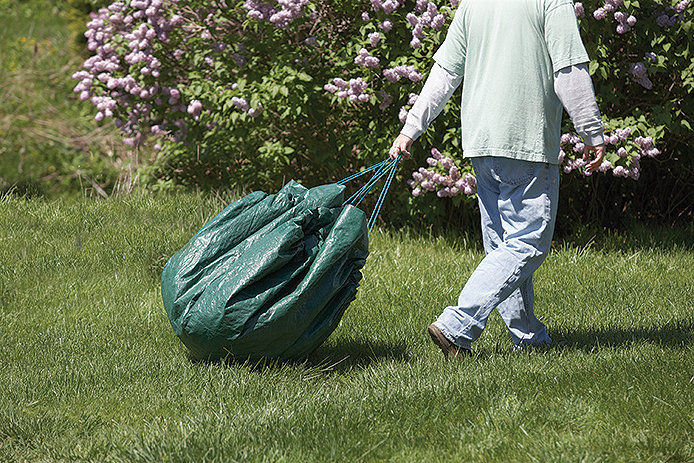 a person dragging a tarp filled with lawn and garden debris after prunning back flowers and bushes