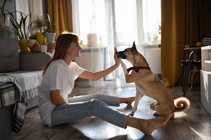 Smiling woman rewarding dog for trick