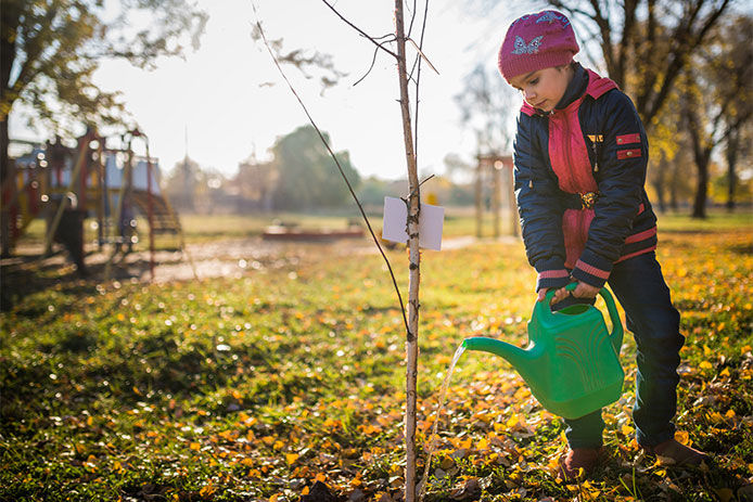 A little girl watering a small tree