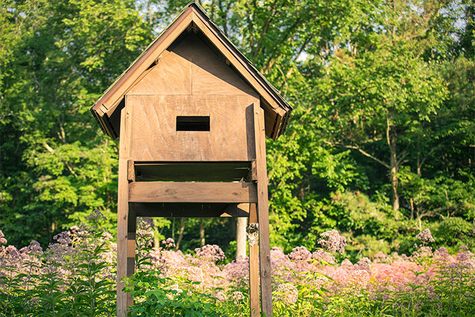 A large bat house in the middle of a wildflower field.