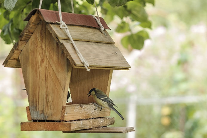 Birds at wooden bird feeder
