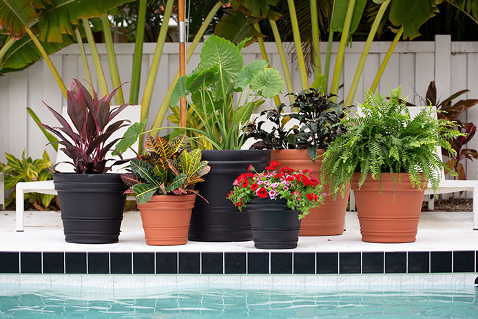 Bloem flower planters and pots sitting pool side in a residential backyard