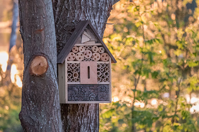 Bee hotel hung up on a tree trunk