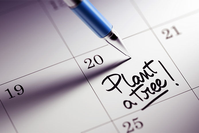 A pen pointing to the 20th of a month with "Plant a Tree!" written