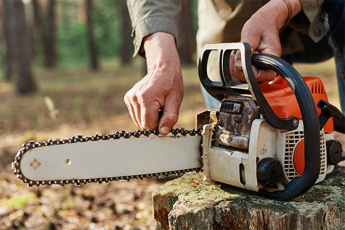 Man checking the tension in the chainsaw chain on a tree stump