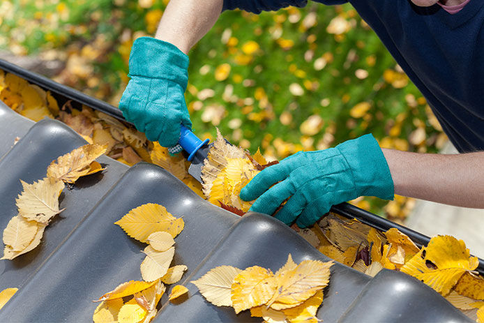 A close-up view of a gutter filled with autumn leaves being cleared by a man wearing green garden gloves and a black shirt. The man's hand is visible as he uses a tool to scoop out the leaves. The gutter is attached to the side of a house.